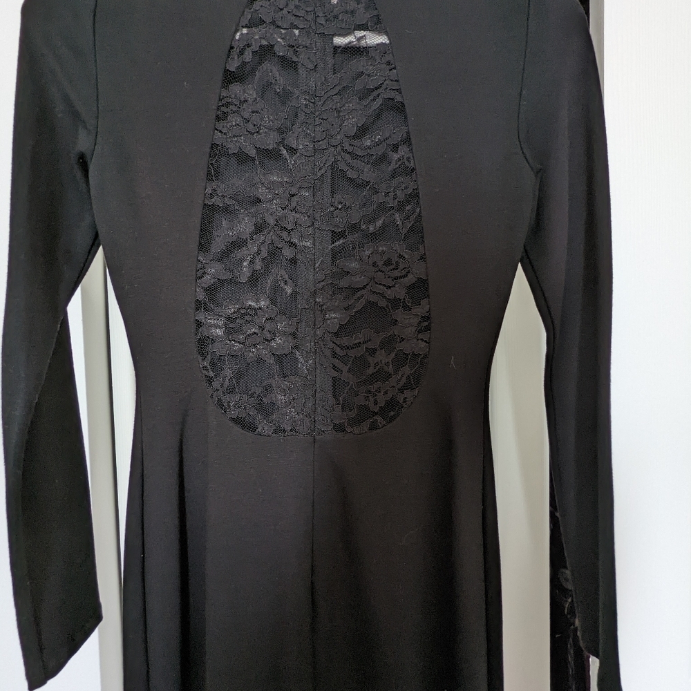 Alice and Olivia black maxi gown - Picture 9 of 12